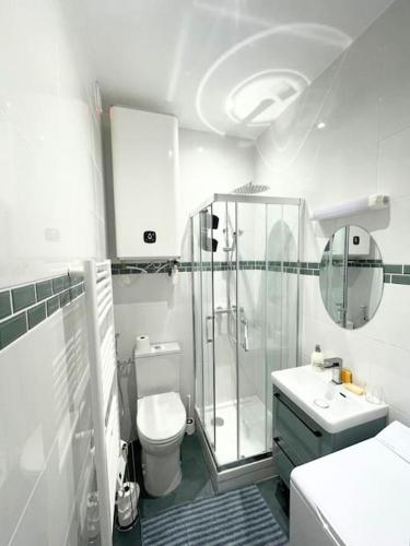 une salle de bain blanche avec douche et toilettes dans l'établissement Charmant Appartement F2 - Paris 13ème, à Paris