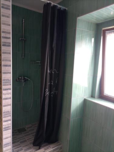 Bilik mandi di Apartmani Bartulasi