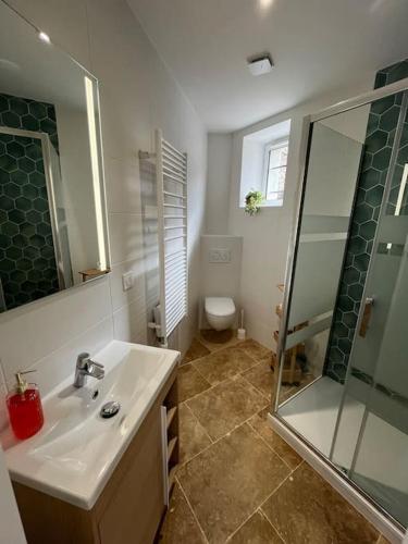 une salle de bain avec un lavabo, une douche et des toilettes dans l'établissement La Mignonnerie de Moulignon, à Saint-Fargeau-Ponthierry