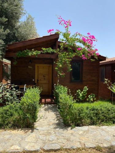 Suzi'nin Bahçesi Bungalov Evler