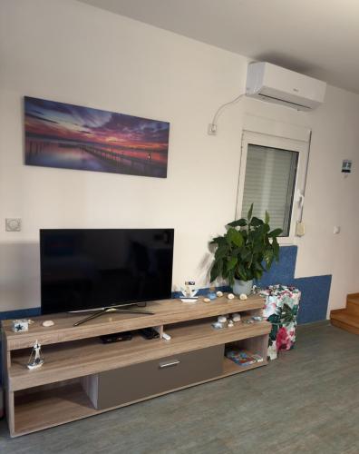 Vila Vujoševićにあるテレビまたはエンターテインメントセンター