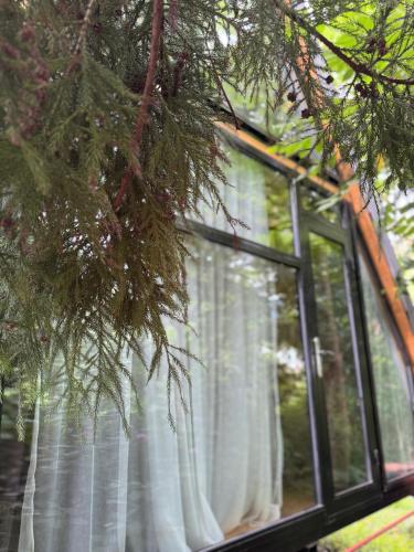 a window with a white curtain in a tree at SamebaHill in Batumi