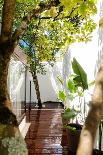 a room with trees and plants on a wooden floor at Seaside Cozy Apartment with private Terrace in Porto
