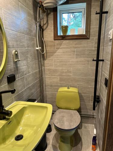 a bathroom with a green toilet and a sink at Viksbergstugan in Södertälje