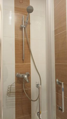 une douche dans une salle de bain avec une pomme de douche dans l'établissement bel appartement proche stade de France, à Paris