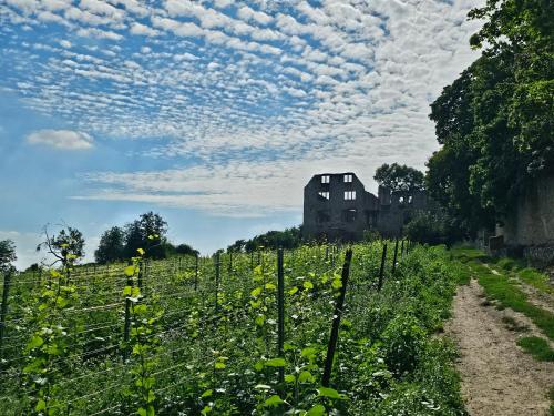 a field with a house and a building in the background at Moderne Doppelhaushälfte in Oppenheim in Oppenheim