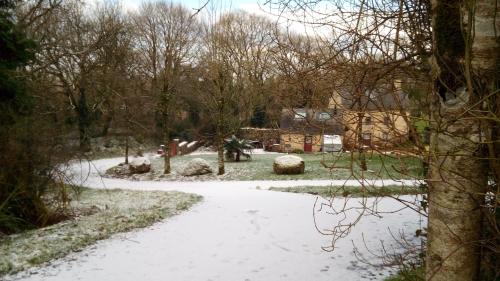 une allée enneigée avec des arbres et une maison dans l'établissement refuge de la chouette, à Saint-Gilles-Pligeaux