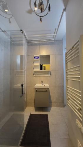 une salle de bain avec un lavabo et un miroir dans l'établissement Olympic Parc La Villette PARIS 19 Cosy Studio, à Paris