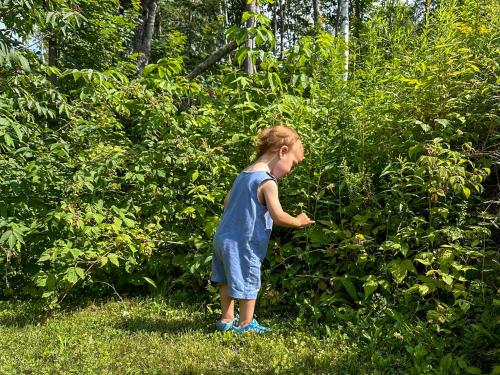 a little girl standing in front of a bush at Le Willow Exitchalets Lake, Billard & Spa in Val-David