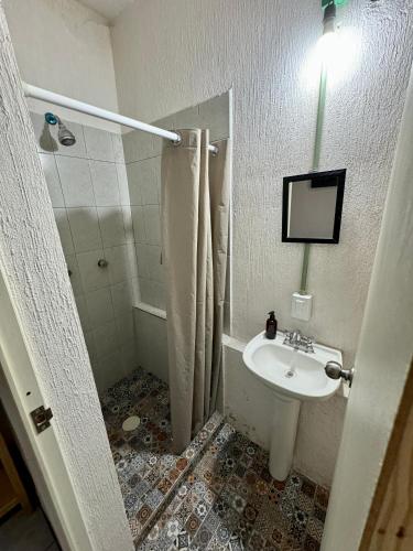 a bathroom with a sink and a shower at Casa Hostal La Esperanza de Don Alfonso in León