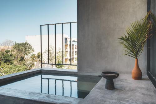 a swimming pool with a potted plant on a balcony at Urbano by Sundara in Tulum