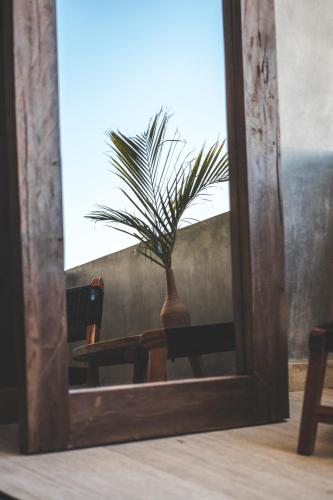 a plant in a vase in front of a mirror at Urbano by Sundara in Tulum