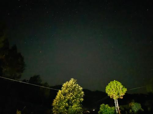 a starry night with two trees in the foreground at Hidden Resort Abbottabad in Abbottabad