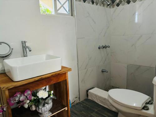 a bathroom with a sink and a toilet at TSG sys Palace in Spring Garden