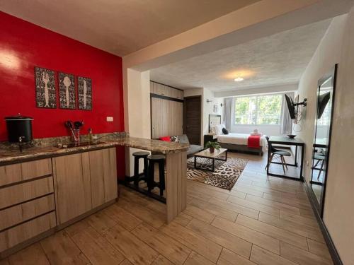 DST1 Convenient studio in zone 15