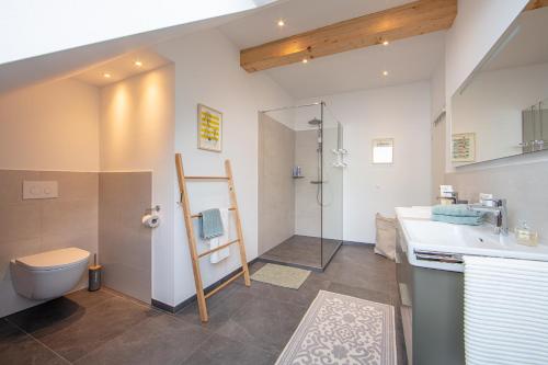 a bathroom with a toilet and a sink and a shower at Haus am Rebberg in Öhningen