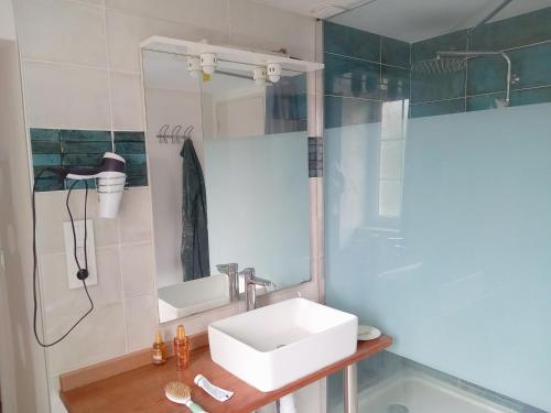 a bathroom with a sink and a mirror at Via Lactéa in Saint-Goussaud