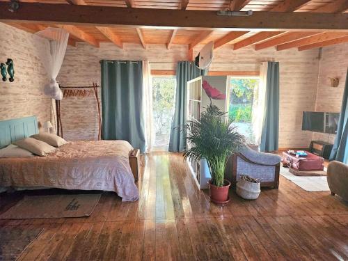a bedroom with a bed and a potted plant at Casa Seahorses b Cottage in Sintra