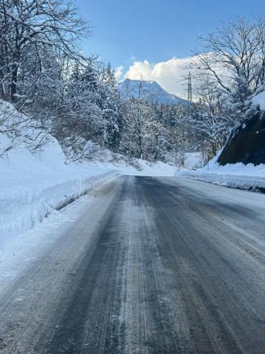 an empty road covered in snow with trees at Juniya Myoko in Myoko