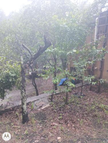 a group of trees in front of a building at Eco Rooms Pablo's in Curva La Pera