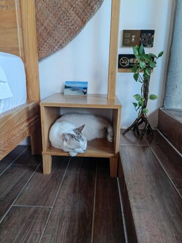 三亜市にあるBed and Breakfast B&B Qianxi 浅喜 SanYaのギャラリーの写真