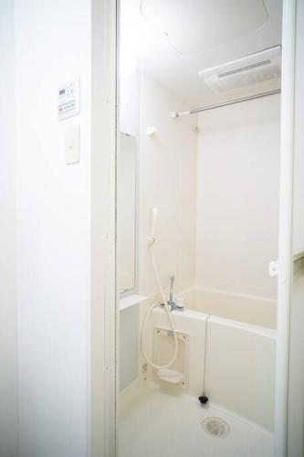 日本の下町新小岩デメテル202にあるバスルーム