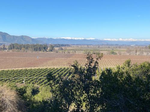 a field of crops with mountains in the background at Nidos de Apalta in Santa Cruz