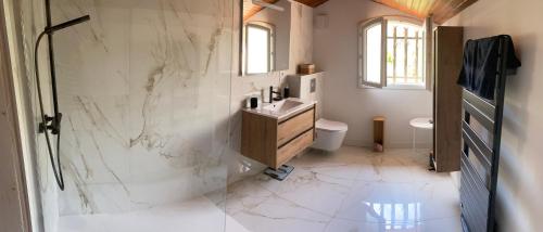 une salle de bain avec douche, lavabo et toilettes dans l'établissement Magnifique villa avec piscine, à Boulouris-sur-Mer