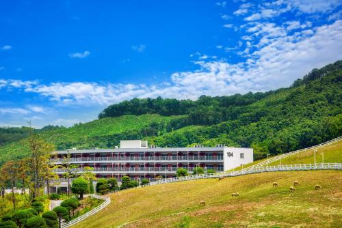 a building on a hill with sheep in a field at Belle Fore Resort in Jeungpyeong