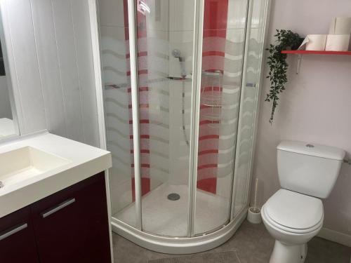 une salle de bain avec une douche avec des toilettes et un lavabo dans l'établissement Petite maison de village, à Saint-Jean-sur-Mayenne