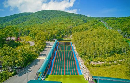 an overhead view of a roller coaster with a mountain at Belle Fore Resort in Jeungpyeong