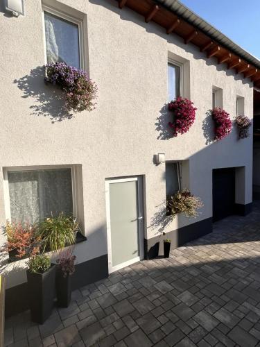 a building with potted plants and a door on it at NEU! Ferienwohnung Nestblick in Weilburg