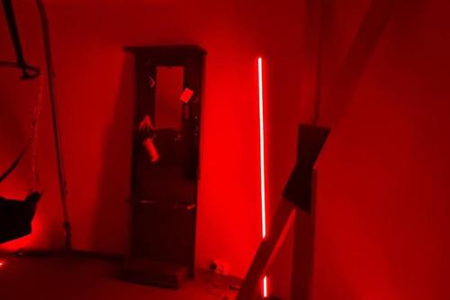 a red room with a door and a cat in it at Suite haut de gamme pour couples in Clermont-Ferrand
