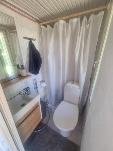 OrimattilaにあるKotoisa mökki paljulla ja puusaunallaのトイレと洗面台のある小さなバスルーム