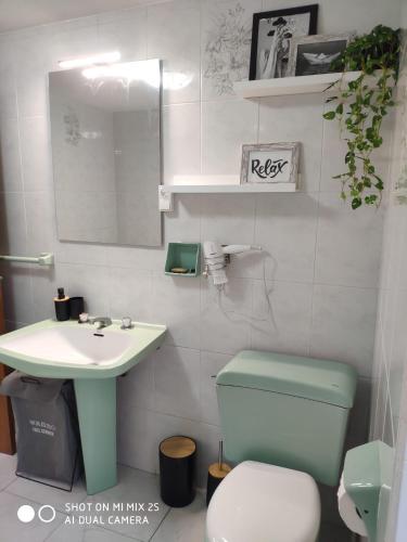 a bathroom with a green toilet and a sink at Casa de Mucha in Camariñas