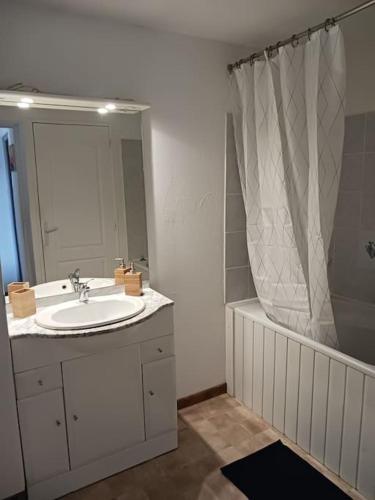 une salle de bain avec un lavabo et une douche dans l'établissement Maison d'Elodie, à Joserand