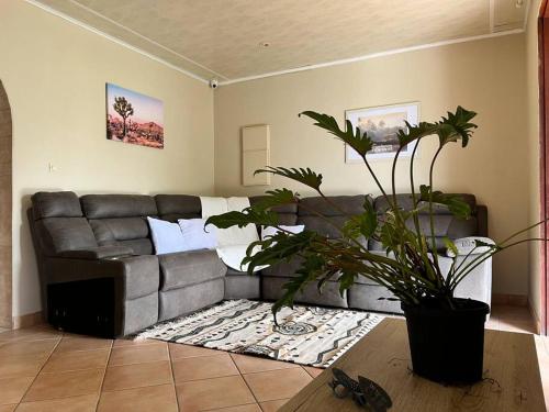 a living room with a couch and a potted plant at Maison Bethesda in Salazie