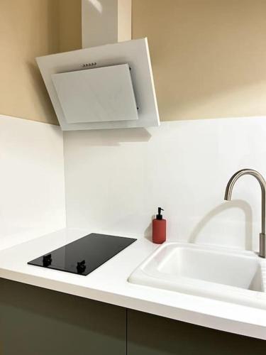 une cuisine blanche avec un évier et un micro-ondes dans l'établissement Le Gaston, à Lille