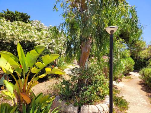 a street light in a garden with a tree at La Perla di Sicilia in Marina di Modica