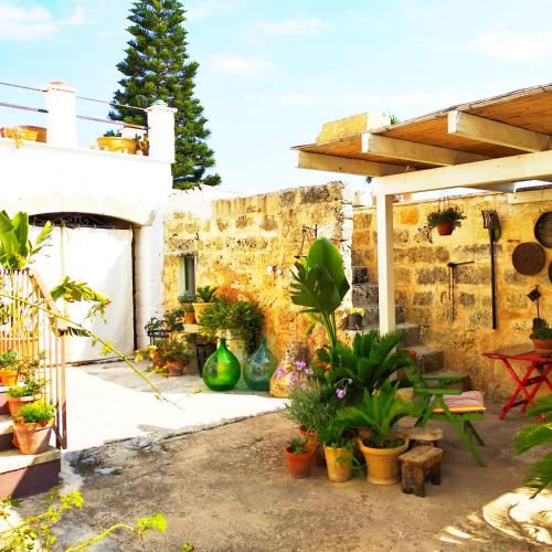 a courtyard with potted plants and a stone wall at Masseria delle Rose 1760 in Alessano
