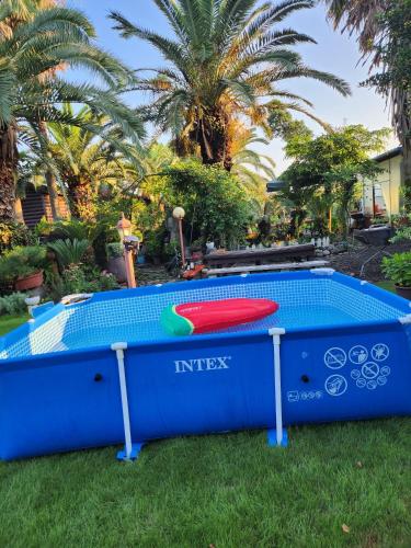 un trampolino blu e rosso nell'erba con le palme di Valley Village a Seogwipo