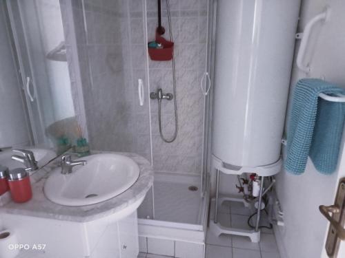 une salle de bain avec une douche et un lavabo et une douche dans l'établissement Joli appartement à la mer, à La Tranche-sur-Mer