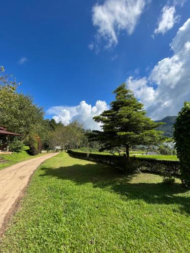 a tree in the grass next to a dirt road at Angha forest view บ้านเพลินใจ in Ban Sop Mae Klang