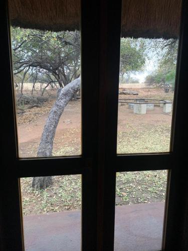 a view of a tree from a window at Leriba Lodge Unit425 in Phalaborwa