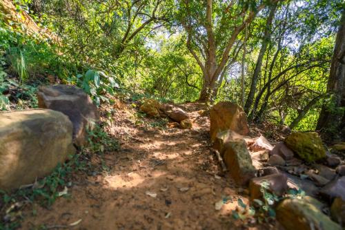 a dirt trail in a forest with rocks and trees at ATKV Klein-Kariba in Bela-Bela