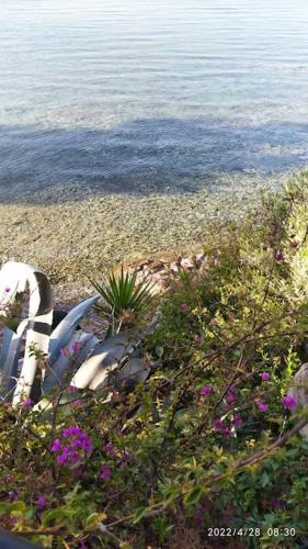 Φυσικό τοπίο κοντά σε αυτή η βίλα