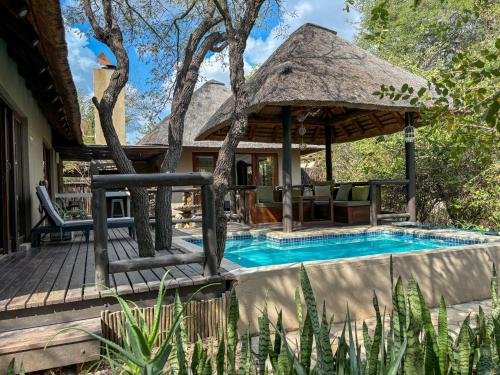 a house with a swimming pool and a thatch roof at Hoedspruit Raptors Lodge N16 in Hoedspruit
