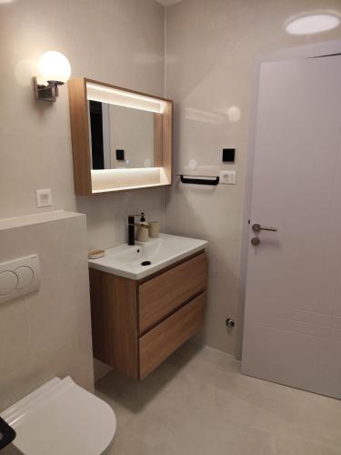 a bathroom with a sink and a mirror and a toilet at M&M Luxury Apartments in Petrcane