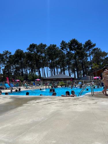 un groupe de personnes dans une piscine dans l'établissement Mobilhome 6 8 pers Les Dunes de Contis, à Saint-Julien-en-Born