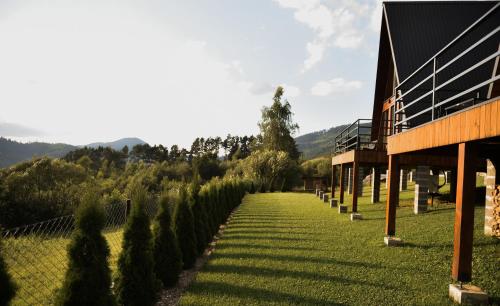 a row of bushes in a field next to a building at Memories Carpaty in Mizhhirʼʼya